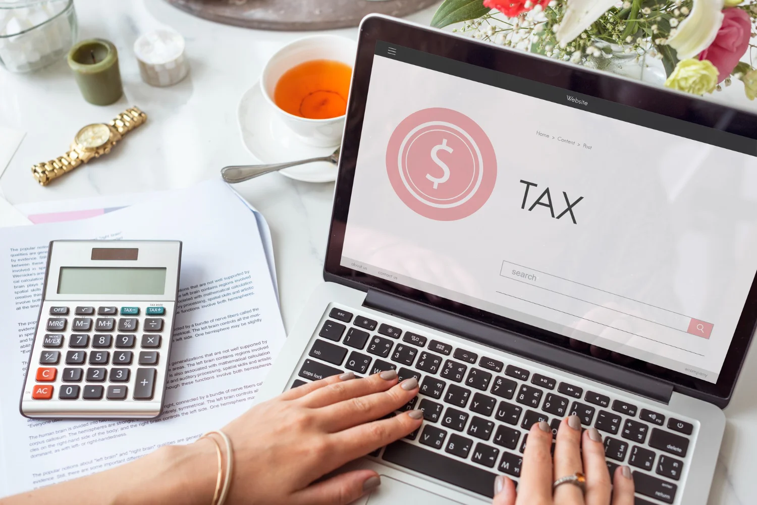 U.S. tax preparation and filing services